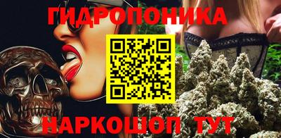 гашик Будённовск