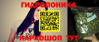 эйфоретик Бузулук