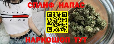 гашик Будённовск